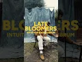 Intuition Equalibrum - Late Bloomers