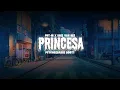 Download Lagu PUT-IN x Kriz Van Dee - Princesa (PsychoZBasse Booty)