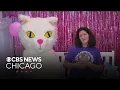 Barb s Precious Rescue and Adoption Center hosting first Tiny Tails Kitten Shower in Palatine