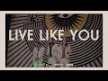 DeWolff - Live Like You (Visualizer)