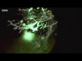 HyperNormalisation by Adam Curtis The Beginning