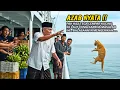 Download Lagu Pak Haji Sombong Tega Lempar Kucing Ke Laut Tapi Besoknya Ini Yang Terjadi Kepadanya.....