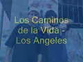 Los Caminos de la Vida - Los Angeles Azules ( Letra )