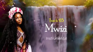 Zuchu Mwizi Instrumental Beat 