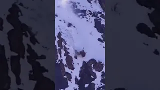 مثل الفهود ارزاقنا نهب وصياح اكسبلور اكسبلور Explore فولو  مثل الفهود ارزاقنا نهب وصياح اكسبلور اكسبلور Explore فولو