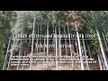 Download Lagu Japanese taru and oke in Yoshino area in Nara