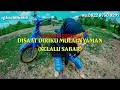 Lagu Disaat diriku mulai nyaman (selalu sabar)*TERBARU 2020*
