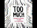 Too Much (Alle Farben Remix)