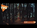 XYLØ - America (Ghosts Remix)
