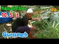 Download Lagu 248 : tiket spesial 10,5 juta‼️mancing gurame super gacor