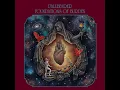 Foundations (2025 Mix)
