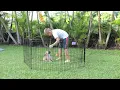 Midwest - Dog Exercise Pen