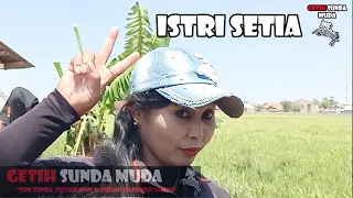 Download ISTRI SETIA - COVER BY TEH ITOH CUTA MUDA MP3