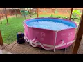 New hot pink Intex 8 above ground backyard pool And a new kitten