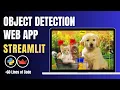 Build AI Object Detection Web App using Streamlit PyTorch Python Tutorial