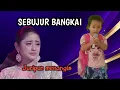 Download Lagu VIRAL.‼️Anak kecil menyanyikan Lagu SEBUJUR BANGKAI 
