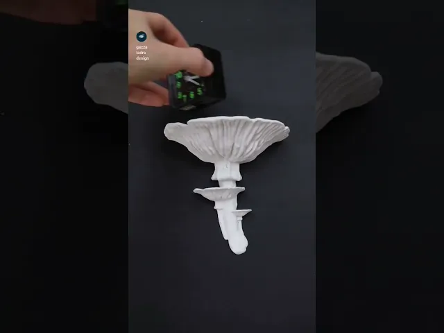 Mushroom shelf “Amanita Caesarea” video thumbnail