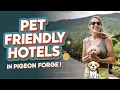Where to Stay in Pigeon Forge with Pets Best Pet Friendly Hotels in Pigeon Forge