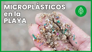 🏖️ No son solo botellas: estos objetos que llevas a la PLAYA pueden liberar MICROPLÁSTICOS