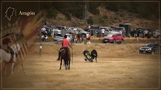 Festejos taurinos en Royuela 2026
