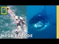 Download Lagu When Sharks Attack 360: Perfect Storms \u0026 Wild Weather | MEGA EPISODE | National Geographic