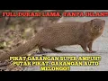 Download Lagu SUARA PIKAT GARANGAN 100℅ AMPUH//SUARA JERNIH TANPA IKLAN‼️