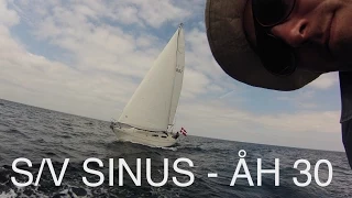 Sailing Blue Bird | Together with S/V Sinus – ÅH 30