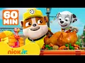 Lagu Rubble's PAW Patrol Thanksgiving Rescues! | 1 Hour | Rubble \u0026 Crew