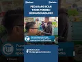 Download Lagu VIRAL Pedagang Ikan di Pasar Tarik Pembeli dengan Karaokean Bareng, Bahkan Banyak yang Request Lagu