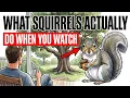 What Squirrels Actually Do When They Know You re Watching And Why It Should Surprise You