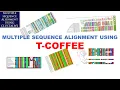 Sequence Alignment Multiple Sequence Alignment T-COFFEE Bioinformatics Tutorials