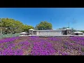Sun City Roseville California 95747 55 community