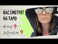 Download Lagu Вас смотрят на Таро 🌒кто❓зачем❓🙌