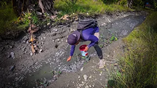 4 Hari berburu ikan digot sawah & banyak ikan terjebak digenangan air!!!! #KOOKIKO 