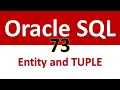 Oracle SQL Developer Tutorial For Beginners 73 ER Model Entity Attribute and TUPLE