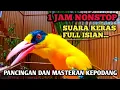 Download Lagu SUARA KERAS ❗️❗️❗️KICAU SUARA BURUNG KEPODANG GACOR FULL ISIAN || BUAT MASTERAN \u0026 PANCINGAN KEPODANG