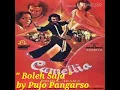 Lagu Rhoma Irama _ Boleh Saja ( Stf Camelia 1980 )