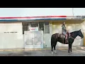 Kacey Musgraves - Middle of Nowhere (Official Lyric Video)