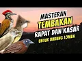 Download Lagu Masteran Tembakan Rapat dan Kasar