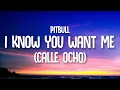 Download Lagu Pitbull - I Know You Want Me (Calle Ocho) (Lyrics)