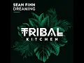 Dreaming (Extended Mix)