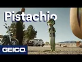 Pistachio GEICO Rides With You
