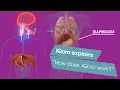 Download Lagu How IQoro works