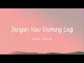 Vanny Vabiola - Jangan Kau Datang Lagi (Lirik)