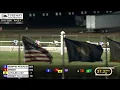 RACE 4 PROGRAM 3 7 2026