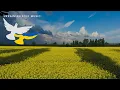 Lagu UKRAINIAN FOLK MUSIC | UKRAINIAN VIDEOS