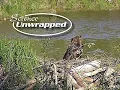 Science Unwrapped Leave it to Beaver Lessons from Nature s Engineers