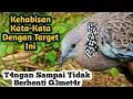 Download Lagu T4ngan Sampai Tidak Berhenti G3met4r || Tekukur Calon Pikat
