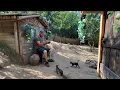 Download Lagu He lives in the mountains and is happy surviving for 15 months alongside his animals.