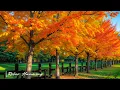 Beautiful Relaxing Music 🍁 Stop Overthinking, Stress Relief Music With Autumn Melodie